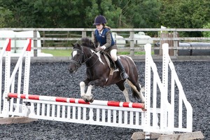 Class 3 -  Fences not above 2'3